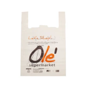 Customized Extra-Large PE Plastic Shopping Bag for Garment Packaging with Flexiloop Handle and Flexo Printing