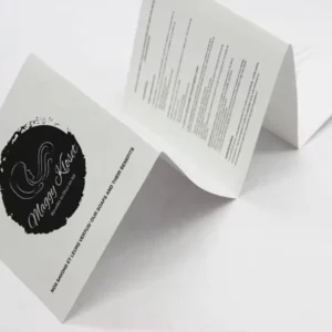 Customized Full Colour Offset Printed Advertising Brochure Flyer Leaflet Booklet with Kraft Paper and Custom Logo