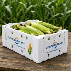 Customized PP Corn Box, Custom Size, Printed Corrugated Plastic, Die-Cut, Durable, Reusable
