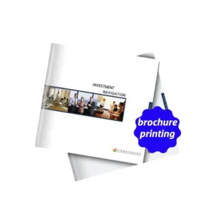 Customized Passport-Style Corporate Brochure, Flyer & Pamphlet Printing, Offset Paper