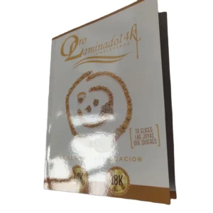 Customized Saddle Stitched A4 A5 A6 Booklet Catalogue Brochure 4C+4C CMYK Pantone Cardboard Matt Film Laminated Printing