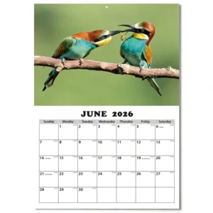 Customized Spiral Calendar Wall Calendar with Yearly Overview for Creative Journaling and Family Scheduling in Low Moq