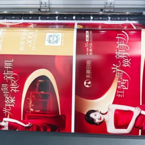Digital Printing Poster A0 A1 A3 A4 Wall Poster Printing Service