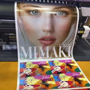 Digital Printing Service for A0 A1 A3 A4 Wall Posters, Packaging Display, Paper and Paperboard