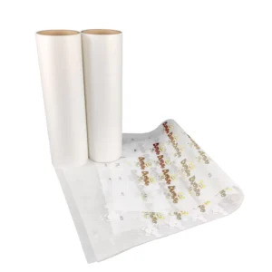 Double-Sided Hot Peel DTF Printing Heat Transfer PET Film