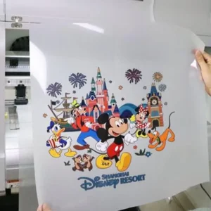 Double-Sided Instant Hot-Peel PET DTF Transfer Film for DTF Printing