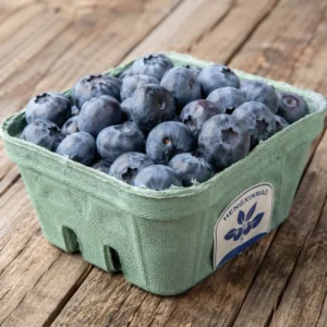 Durable Waterproof Heat-Resistant Eco-Friendly Vinyl Adhesive Blueberry Labels for Food-Grade Fruit Preserve Packaging