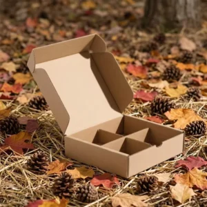 Eco-Friendly Kraft Airplane Box with Dividers Custom Printed Corrugated Mailer Gift Packaging Box