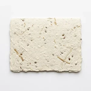 Eco-Friendly Seed Paper Greeting Card, Plantable Handmade Gift Card with Visible Seeds