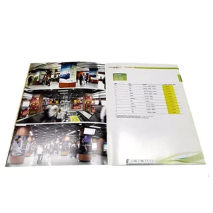 Exhibition Catalogue, Flyer and Saddle-Stitched Brochure Printing