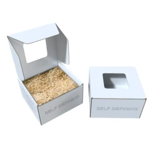 Factory Cardboard Craft Packaging Shipping Paper Boxes for Clothing