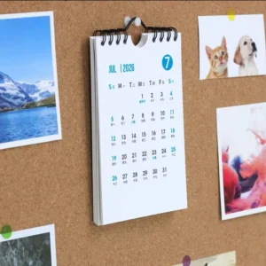 Factory Custom Colorful Calendar Printing Timetable Personal Schedule Wall Calendar for Office Printing Calendar