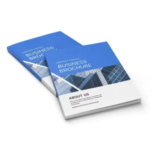 Factory Custom Design Brochure Booklet Printing for Company Profile