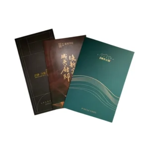 Factory Custom Leaflet Brochure and Folded Flyer Printing on Varnished Offset Paper