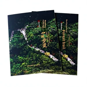 Factory Custom Offset Printed Folding Staff Manual Enterprise Atlas Picture Book Brochure Printing Service