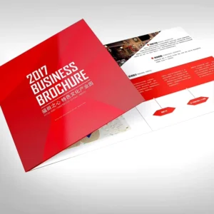 Factory Custom Printed Foldable Multi-fold Brochure Flyer Leaflet Company Introduction Pamphlet Custom Size & Design
