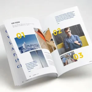 Factory Custom Printing Services for Flyers, Brochures, Catalogues, Instruction Manuals, and Menus
