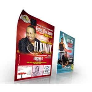 Factory Custom Waterproof Paper Poster Printing Service, A1/A2/A3, Solvent Ink, Glossy or Matte Finish