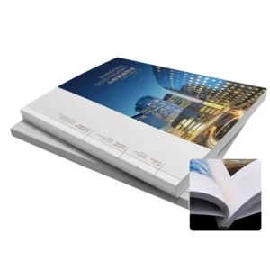 Factory Direct Rectangular Custom Printing Rerecycle Brochure