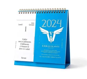 Factory Paper Printing Services Custom 365-Day Daily Motivational Desk Calendar with YO Spiral Binding