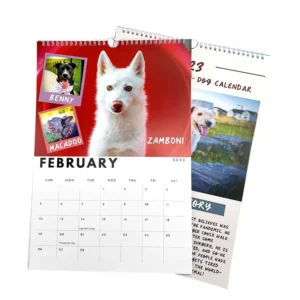 Factory Sale 365 Days Calendar Printing Custom Desk Wall Calendar Printing Perpetual Calendars