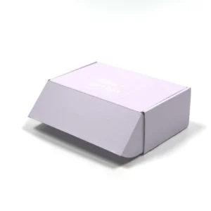 Fashion Custom Shipping Paper Box
