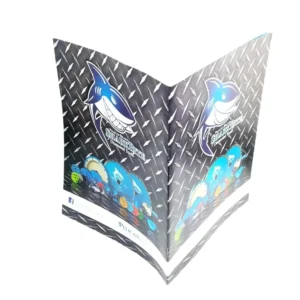 Fast Turnaround ODM Catalogue Printing Offset Printed Matte Paper Drill Hole Brochures & Leaflets for Company Profile