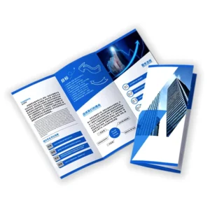 Folded Leaflet Booklet Flyer Brochure Printing Service