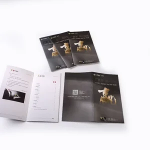 Folded Leaflet Flyer Printable Pamphlet Trifold Brochure Printing Service for Greeting Card Cardboard Offset