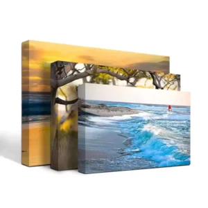 Framed Canvas Wall Art Poster OEM Custom Digital Printing Portable Waterproof