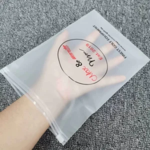 Frosted Plastic Zipper Bags Custom Print Clothing Garment Poly Packing Slider Ziplock Bags