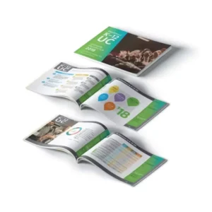 Full Color Hardcover Perfect Binding Corporate Brochure Booklet Business Magazine