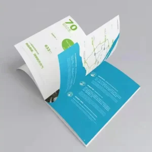 Full Color Offset Art Paper Brochure Booklet Saddle-Stitched Instruction Manual Printing