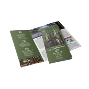 Good Quality OEM New Design A4 A5 Brochure Color Offset Printed Catalog Folded Leaflet Flyers on Coated & Art Paper