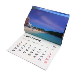 Hanging Wall Day Minder Calendar with Top Spiral 12-Month Wall Planner