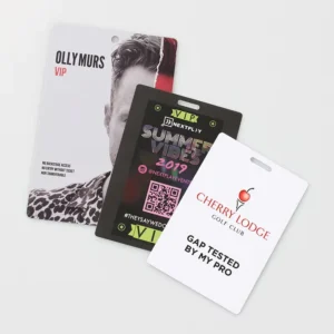 Hard Plastic PVC ID Card with Design Photo