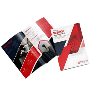 High End Illustrated Offset Printed Brochures Catalogs Color Printed Film Laminated Double Sided Coated Paper