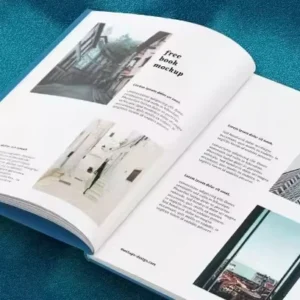 High Quality Brochure Printing Price Custom Magazine Catalog Booklet Picture Album Livre