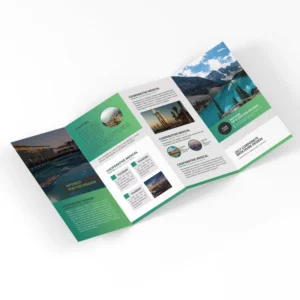 High Quality Custom Paper Printed Instruction Full Color Folding Flyer Leaflet Die Cut Brochure Manual Printing