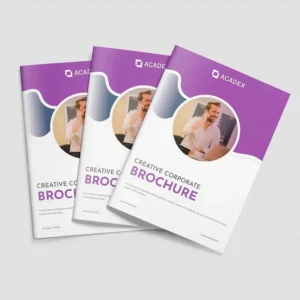 High Quality Custom Size A3 A4 A5 A6 Cardboard Printing Service Posters Booklets Journals Magazines Catalogs Brochures Flyers