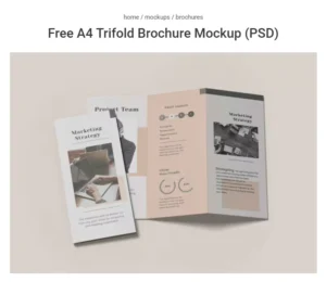 High Quality Custom Trifold Leaflet Pocket Folder Paperboard Magazine Flyer Glossy Brochure Art Paper Flyer Leaflets Printing