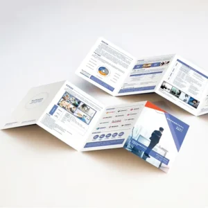 High Quality Customized Luxury Business Medical Flyers Catalogue Trifold Brochures Digital Printing Cardboard Paper Film