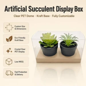 High Transparency Clear PET Box for Succulent Plant Packaging with Corrugated Paper Insert