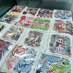 Iron-On Plastisol Heat Transfers for Garments