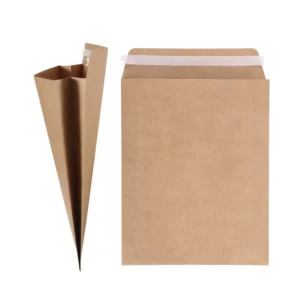 Kraft Paper Envelopes, 6 x 9 Inches, for Photos, Pictures and Documents