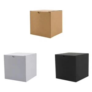 Kraft Paperboard Box for Gift and Retail Packaging