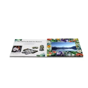 LCD Video Brochure