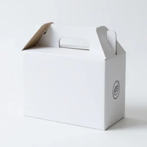 Large Food Packaging Boxes
