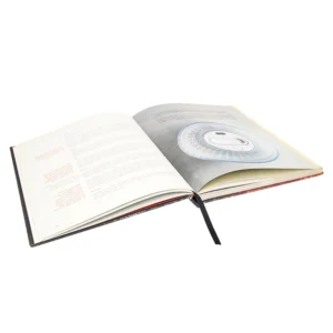 Lift-the-Flap Early Education English Picture Books for Kids Hardcover
