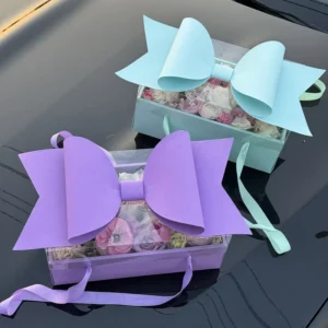 Luxury Butterfly Gift Box with Bow Transparent Lid Gift Boxes for Fruit Elegant Decorative Empty Gift Packaging
